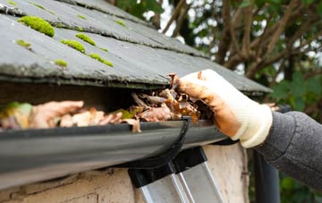 gutter cleaning West Lea, County Durham