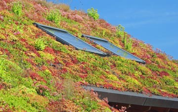 West Lea living roof systems